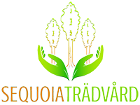 logo Sequoia Trädvård
